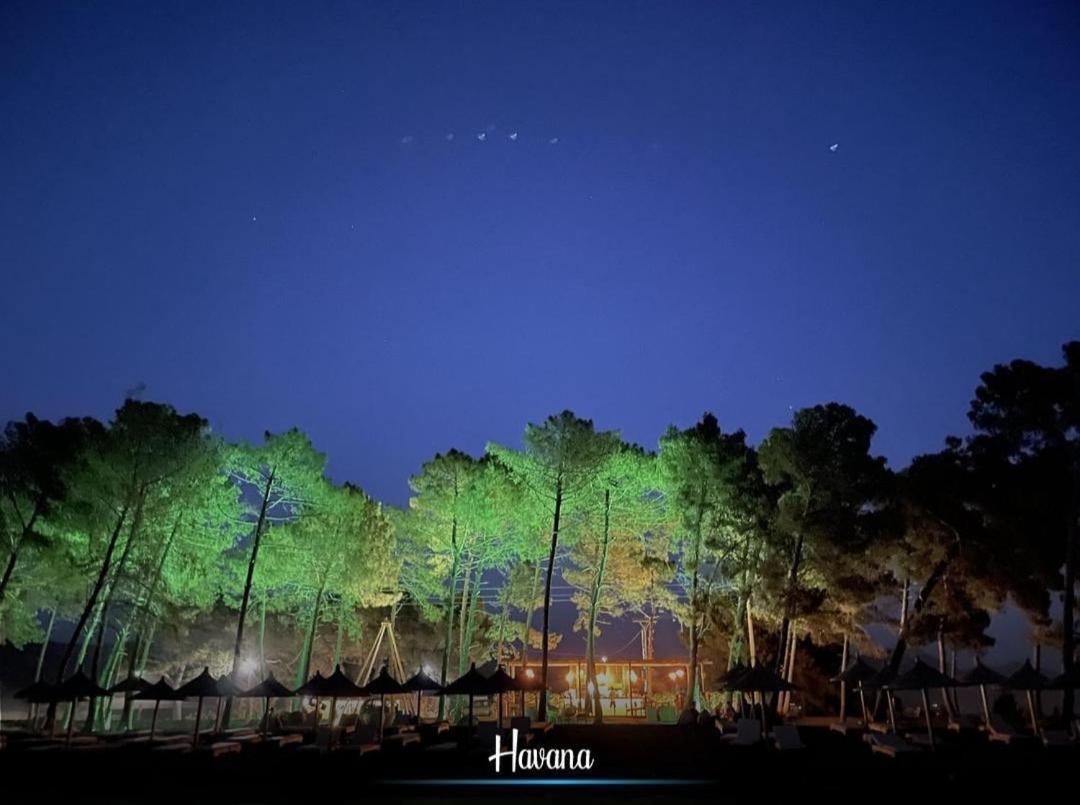 Havana House Sakes Dış mekan fotoğraf