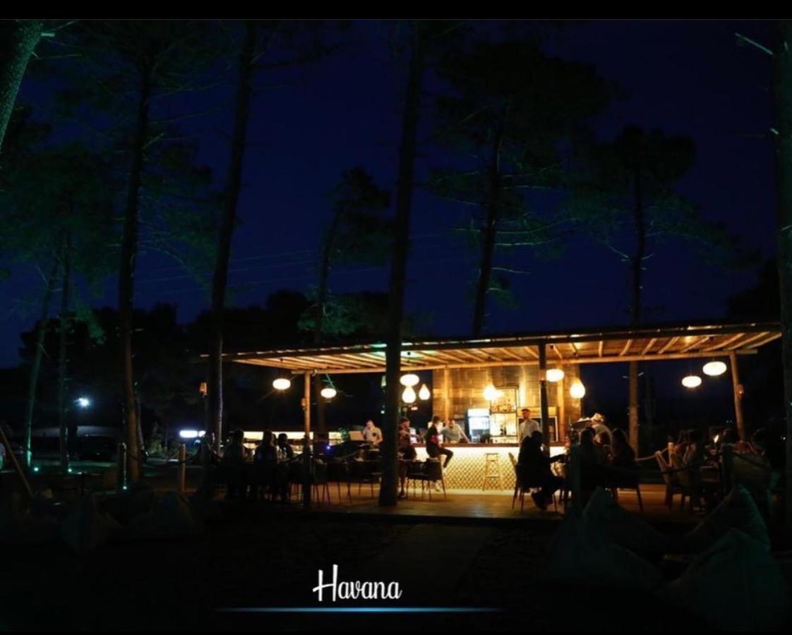 Havana House Sakes Dış mekan fotoğraf